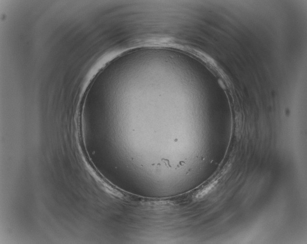 X0000067391432200604031021