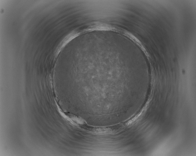 X0000067391433200604031021