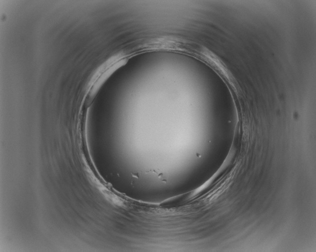 X0000067391434200604031021