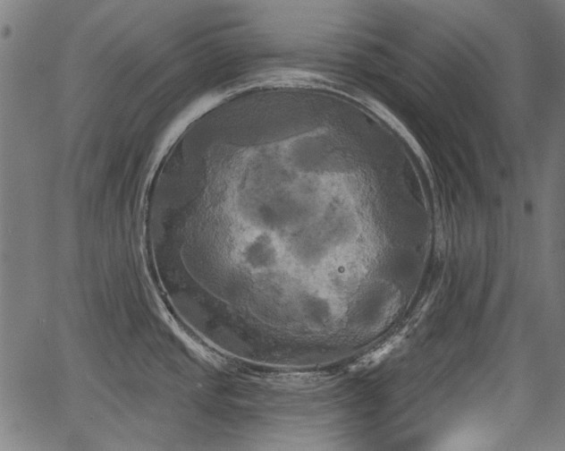 X0000067391437200604031021