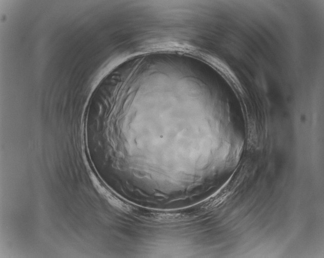 X0000067391439200604031021