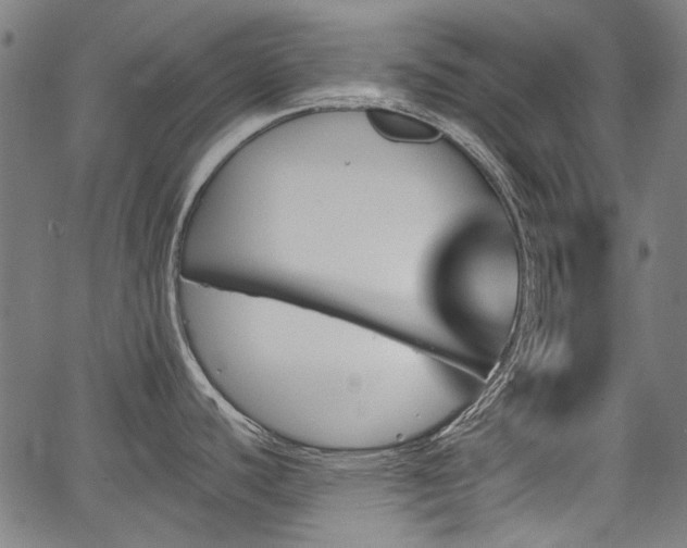 X0000067391440200604031021