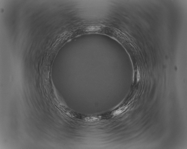 X0000067391441200604031021