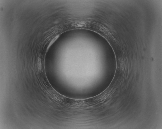 X0000067391442200604031021