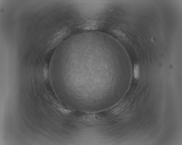 X0000067391444200604031021