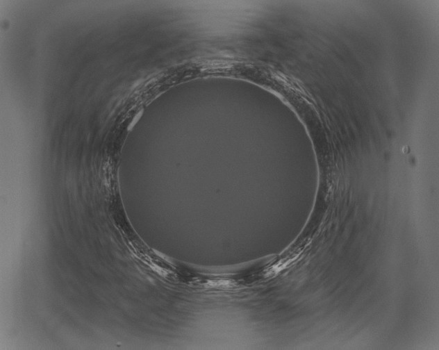 X0000067391445200604031021