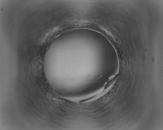 X0000067391447200604031021