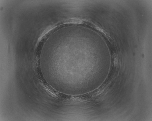 X0000067391448200604031021