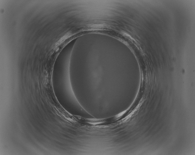 X0000067391449200604031020