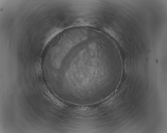 X0000067391452200604031020