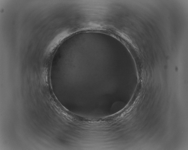 X0000067391455200604031020