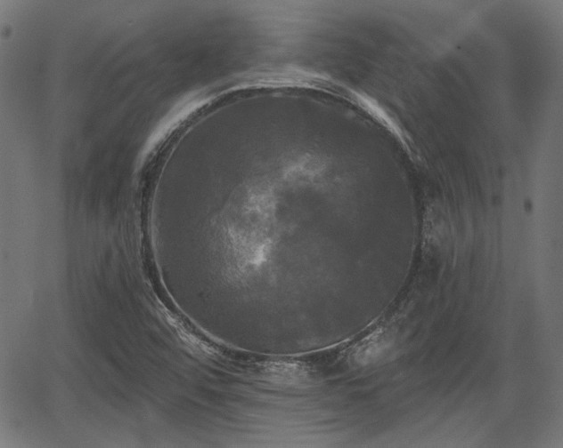 X0000067391456200604031020