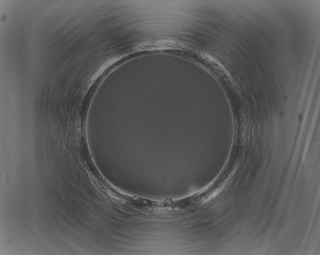 X0000067391457200604031020