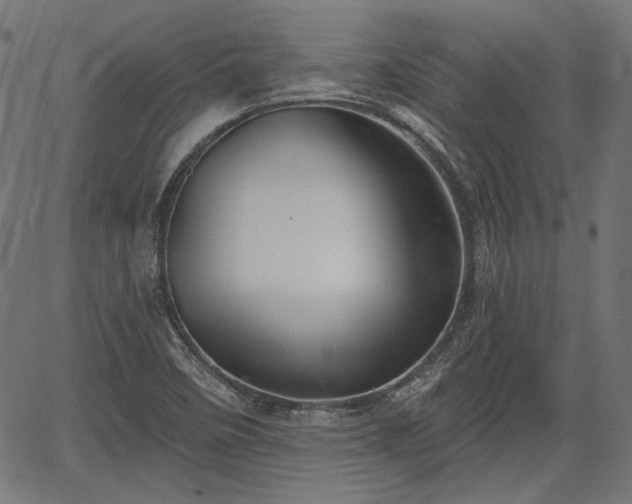 X0000067391458200604031020