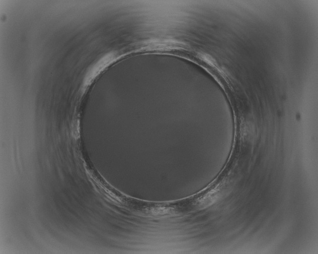 X0000067391459200604031020