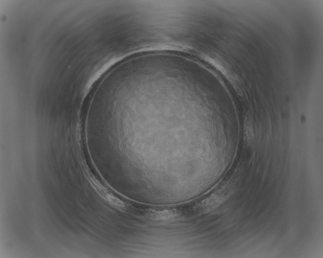 X0000067391460200604031020