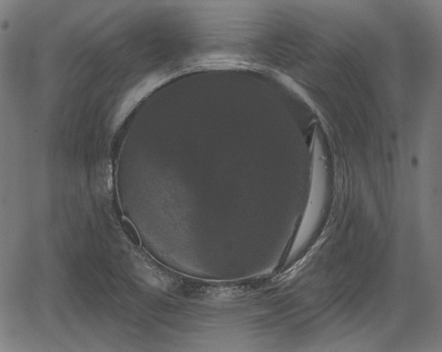 X0000067391461200604031020