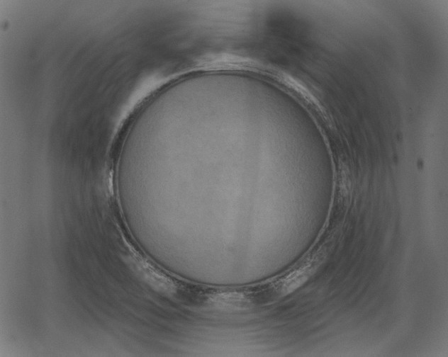 X0000067391462200604031020