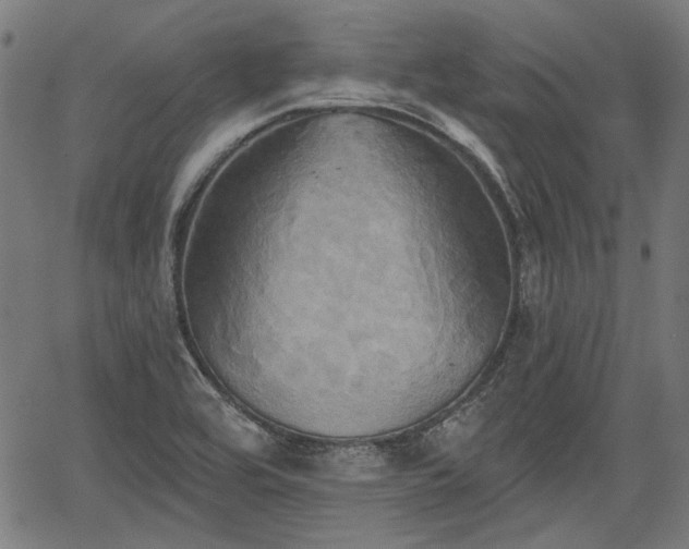 X0000067391464200604031020