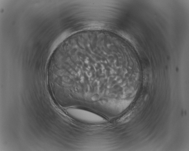 X0000067391467200604031020