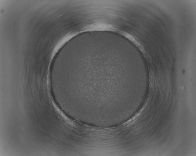 X0000067391469200604031020