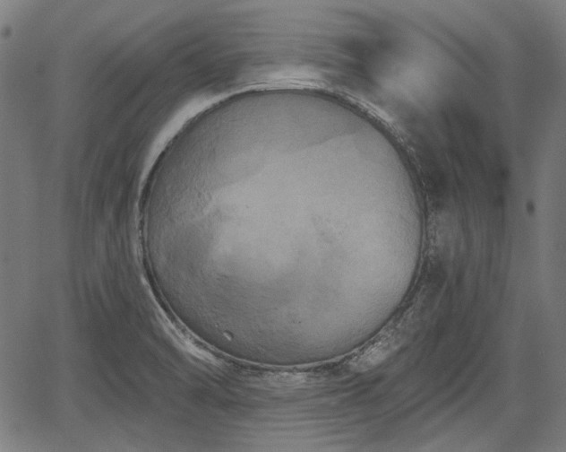 X0000067391470200604031020