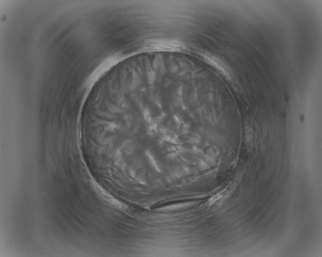 X0000067391471200604031020