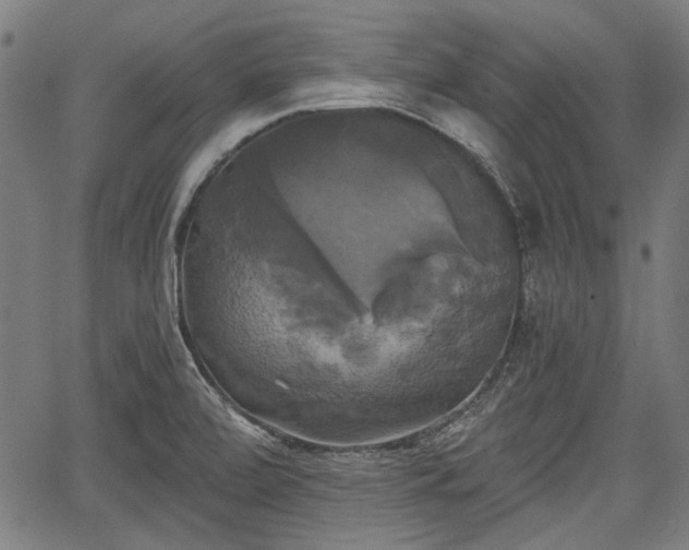 X0000067391472200604031020