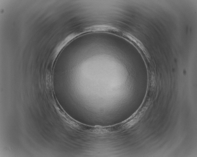 X0000067391473200604031020