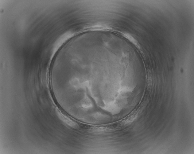 X0000067391474200604031020