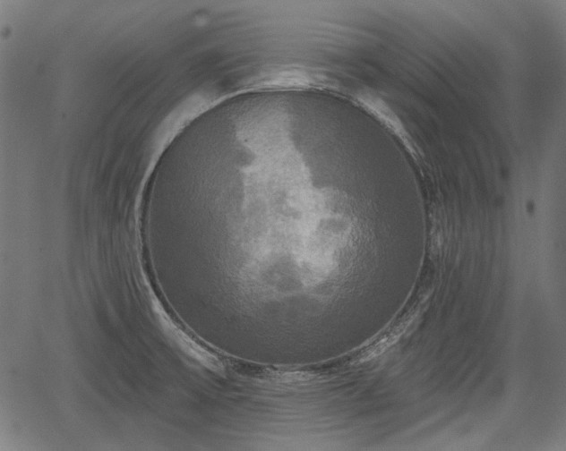 X0000067391475200604031020