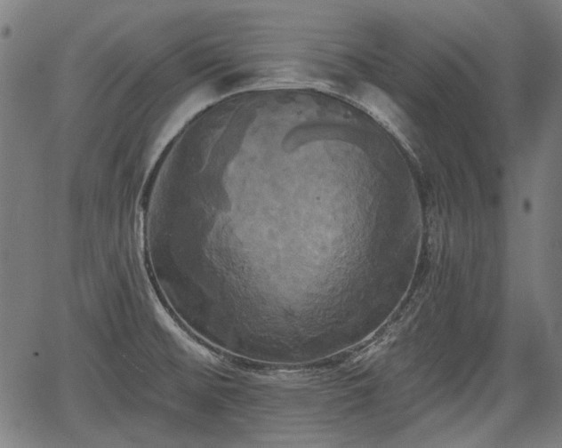 X0000067391476200604031020