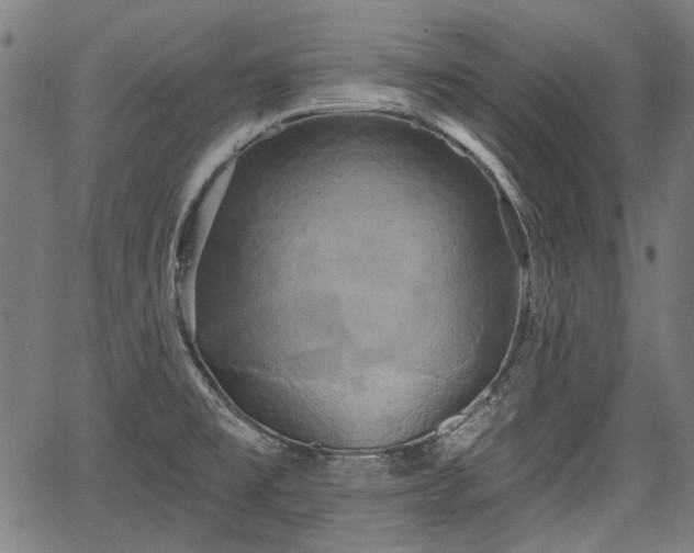 X0000067391477200604031020