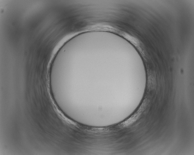 X0000067391478200604031020