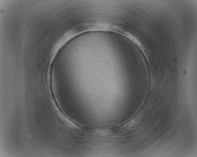 X0000067391480200604031020