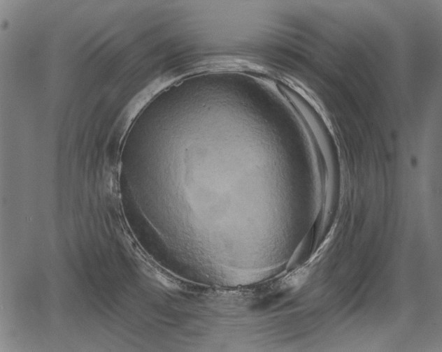 X0000067391481200604031020