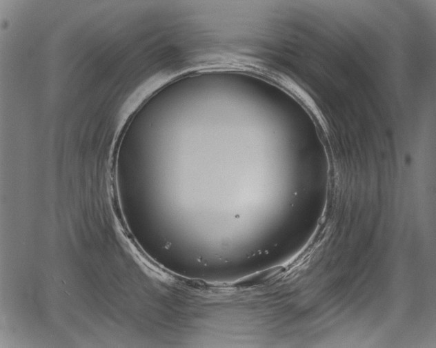 X0000067391485200604031020