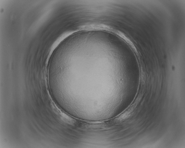 X0000067391486200604031020