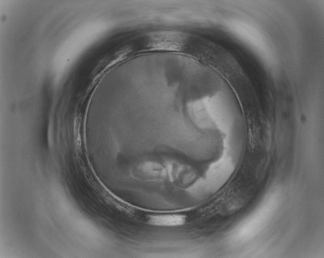 X0000067391487200604031020