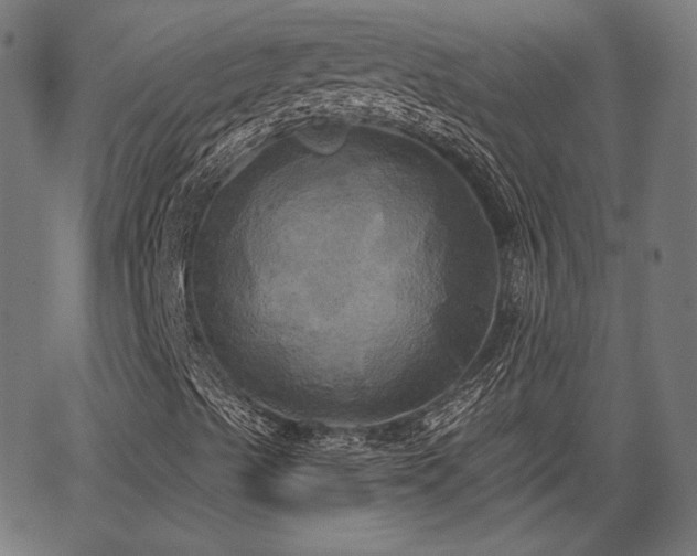 X0000067391489200604031019