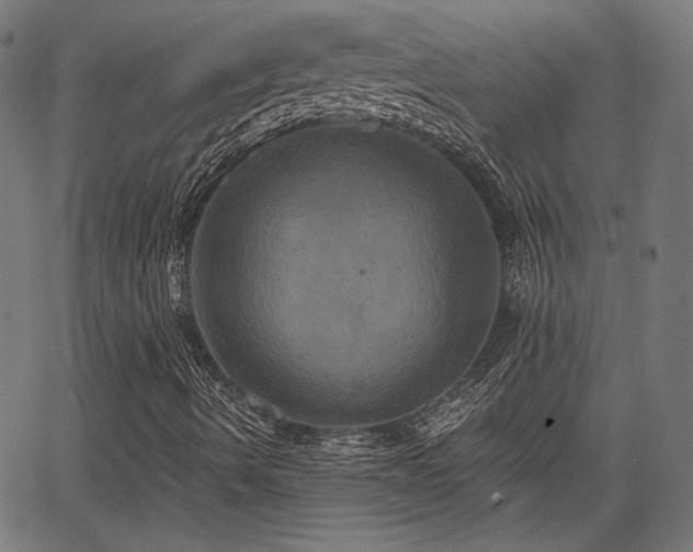 X0000067391490200604031019