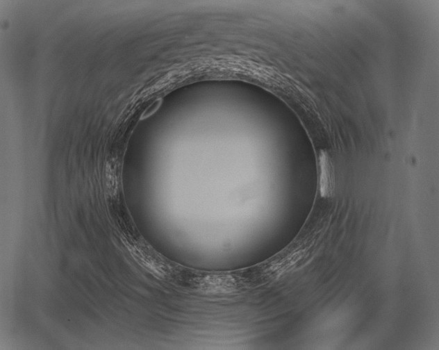 X0000067391491200604031019