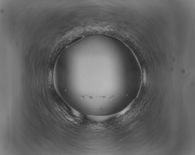 X0000067391492200604031019