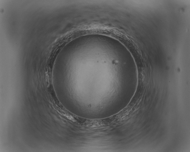 X0000067391493200604031019