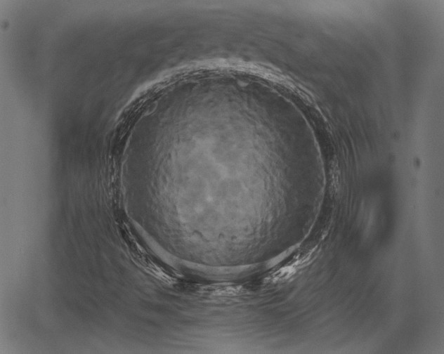 X0000067391494200604031019