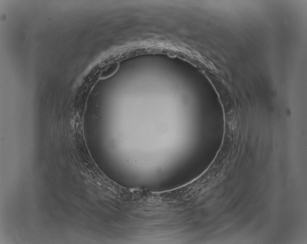 X0000067391495200604031019