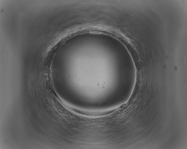 X0000067391496200604031019