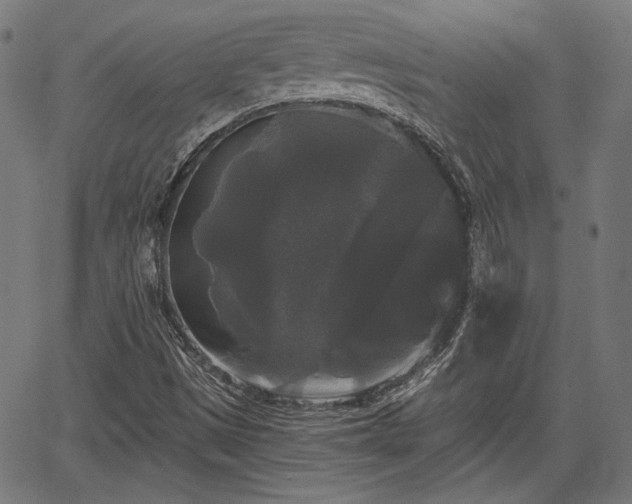 X0000067391497200604031019