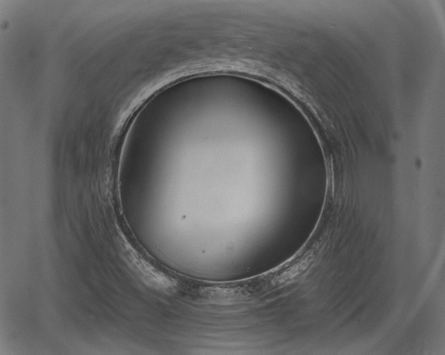 X0000067391500200604031019