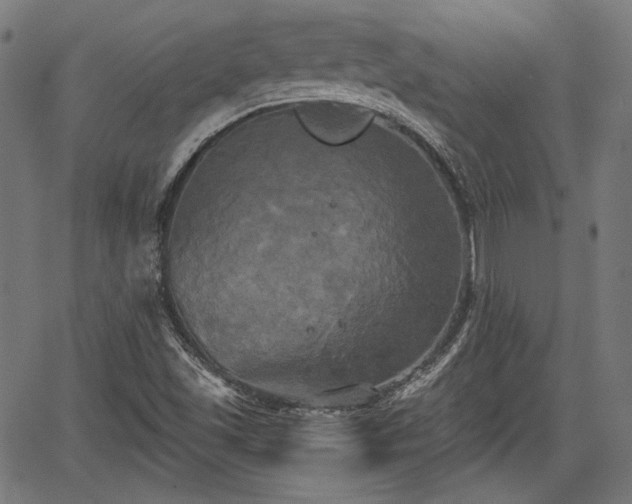 X0000067391501200604031019